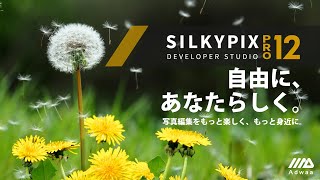 SILKYPIX Developer Studio Pro12 [upl. by Bartolome]