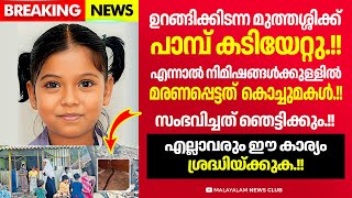 പാലക്കാട് നടന്ന സംഭവം ഈ കാര്യങ്ങൾ ശ്രദ്ധിച്ചില്ലെങ്കിൽ ഇത് എല്ലാവർക്കും സംഭവിക്കാം [upl. by Nosyarg]