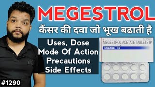 Megestrol Acetate UsesPrecautionsSide Effects  Medicine For Appetite Stimulate [upl. by Akirdna134]