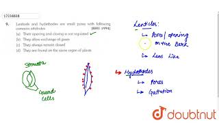 Lenticels and hydathodes are small pores with following common attributes [upl. by Haneeja95]