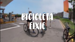 ¿Qué es una Fixie  Achenomas [upl. by Landers643]