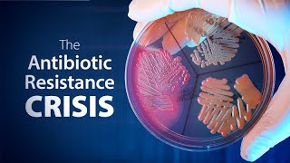 The Antibiotic Resistance Crisis  Exploring Ethics [upl. by Eidderf]