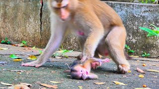 Poor Baby Crying To Request Mother For Pithiness Baby Doesnt Want To Loose Mother [upl. by Iam]