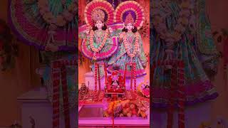 janmashtami charotar anand nadiad mathura vrindavan gokul dwarka gujarat india krishna [upl. by Odelle]