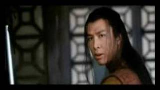 Donnie Yen vs Jet Li Mortal Hero [upl. by Ola601]