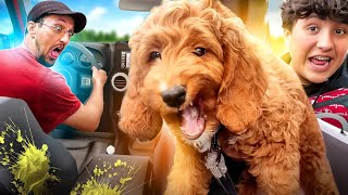 Never take a NEW Puppy Offroading in a JEEP  BAD IDEA FV Family Vlog [upl. by Hanyaz]