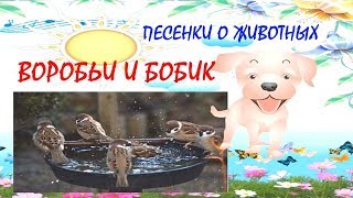 Воробьи и Бобик Песенки про животных Котенок Щенок Пони [upl. by Anatolio772]