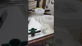 How to make a cheap modular ant farm formicarium part 2 [upl. by Damalas]