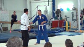 Hapkido vs Aikido [upl. by Elke]