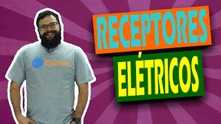 Receptores Elétricos  Eletrodinâmica  Física  Euduca [upl. by Hooper946]