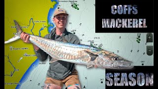 Coffs Mackerel Season [upl. by Arreip]