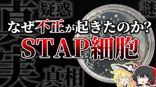 STAP細胞とは何だったのか？【ゆっくり解説】 [upl. by Eisor]