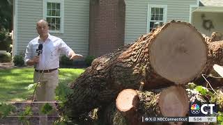 Crews still cleaning up Fridays storm damage in Simsbury [upl. by Nneb]