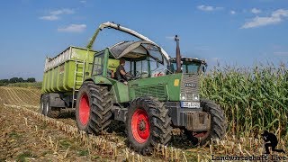 Claas Jaguar 950  890  Fendt Favorit 610S  714 Vario  Krampe  JCB  Maishäckseln Joemann [upl. by Newbill]