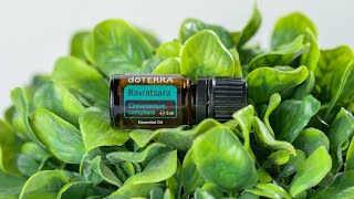 doTERRA Ravintsara 5ml  Translated Subtitles [upl. by Adah]