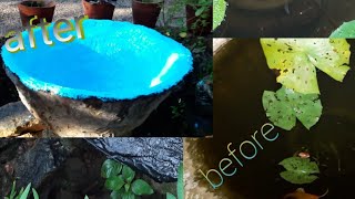 Old water Lilly pond cleaningampESDEE SUPER CHLORINATED RUBBER FINISHES painting [upl. by Devina]