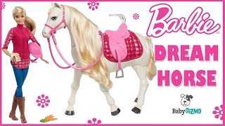 BARBIE Dream Horse Interactive Toy Horse Toy Review for Kids  Dreamhorse [upl. by Oigimer980]