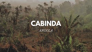 ANGOLA  VOYAGE À CABINDA [upl. by Schurman]