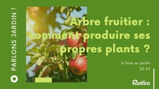 Arbre fruitier  comment produire ses propres plants [upl. by Geraud]