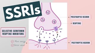 Selective Serotonin Reuptake Inhibitors SSRIs  Indications mechanism side effects [upl. by Steffy]