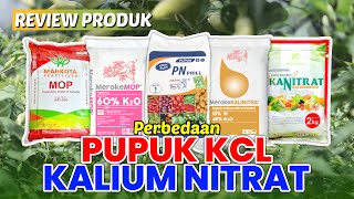 Ketahui Perbedaan Pupuk KCL dan Kalium Nitrat Produktivitas dan Kualitas MENINGKAT benihonline [upl. by Welcy380]