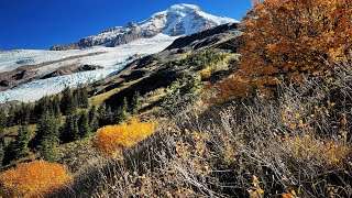 Heliotrope Ridge Trailhead  Mt Baker [upl. by Elletnwahs]