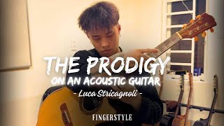 The Prodigy on an acoutic guitar Luca Stricagnoli  Trọng Lê Fingerstyle Cover [upl. by Yrral]