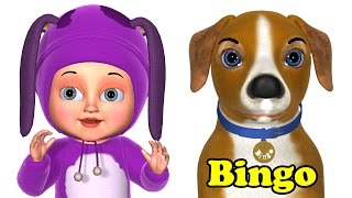 Bingo Dog Song  Bingo Kids Songs 3D Animation Bingo Nursery Rhymes for Children [upl. by Muslim]