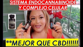 DoTerra COPAIBA y DDR PRIME mejor que CBD para el sistema Endocannabinoide [upl. by Kenwood]