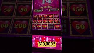 10000 HEARTS❤️🔥❤️🔥 heart viralshort reelsvideo casino love money seminolehardrockcasino [upl. by Neesay]