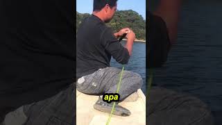 benda apa ini kirakira ya gais  fishing mancing [upl. by Eyssej82]