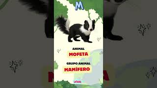 El Abecedario de los Animales  Letra M 🐾 [upl. by Nosretep]