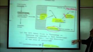 SYNAPTIC TRANSMISSION IN THE CNS PART 2 by Professor Fink [upl. by Collins58]