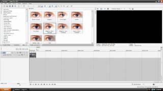 Sony Vegas Pro 10  Beginners Tutorial New [upl. by Aizirk347]