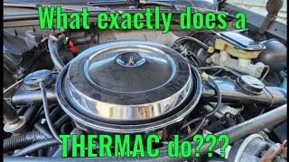 Everything You Need To Know About Your Thermostatically Controlled Air Cleaner [upl. by Onifled]