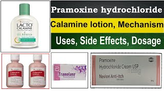 calamine lotion  calamine lotion uses in hindi  pramoxine hydrochloride Uses Side Effects [upl. by Einal]