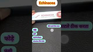 Echinacea ointment homoeopathic in Hindi for wound boil insect biteburn antiseptic cream shorts [upl. by Nnewg]