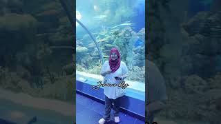 Visiting Fakieh Aquarium in Jeddah [upl. by Letnuahc]