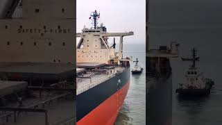 Capesize bulk carrier  JMU Cabin [upl. by Trant540]