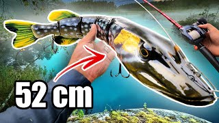 MONSTER vs Tiny Lures for PIKE FISHING 🔥 1000 g Swimbait [upl. by Atnaloj]