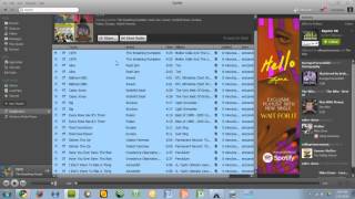 How to Remove Duplicates from Spotify FAST [upl. by Uahc392]