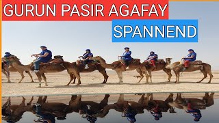 NAEK ONTA DI GURUN PASIR AGAFAY MAROKKO  KAMEELRIT IN AGAFAY MARRAKESH [upl. by Mafalda]