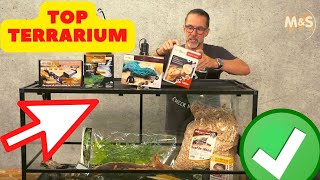 Bartagamen Basics  Dein Start ins Terrarien Leben [upl. by Dierolf]