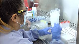 UW Medicine Virology Lab begins antibody testing [upl. by Cypro]