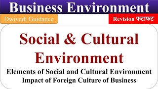 social and cultural environment elements of social and cultural environment business environment [upl. by Cul748]