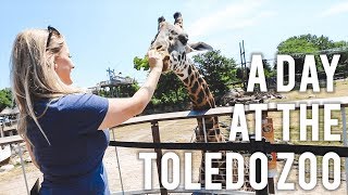 Petting The Giraffes ► Taking A Day Off From Work ► Enjoying The Toledo Zoo [upl. by Nnaaras647]