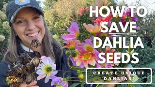 How to Save Dahlia Seeds amp Create Unique Dahlia Flowers 😀😍💐 Northlawn Flower Farm [upl. by Ecirpac]