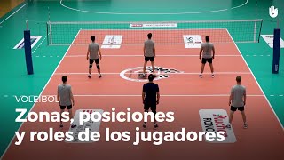 Las zonas las posiciones y los roles de los jugadores  Voleibol [upl. by Ennaihs]