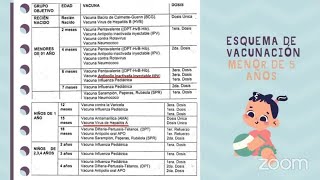 Nueva Norma Técnica de Inmunizaciones 2024  MINSA  PERÚ  NTS N° 196MINSADGIESP2022 Detallado [upl. by Eurydice851]