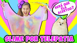 SLIME POR TELEPATIA COM O CACHORRO TWIN TELEPATHY SLIME WITH YOUR DOG CHALLENGE  Mileninha [upl. by Marou362]